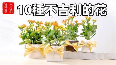 10種不吉利的花|10種「不吉利」的花，讓你家「霉運連連」，看看你家。